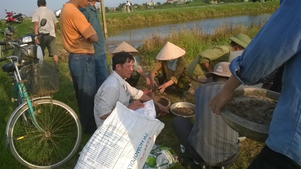 Kỹ thuật công ty TMH phối hợp với trung tâm khuyến nông của tỉnh Thái Bình hướng dẫn bà con xã Đông Na sử dụng chế phẩm vi sinh AT-YTB đưa xuống đồng ruộng xử lý rơm rạ