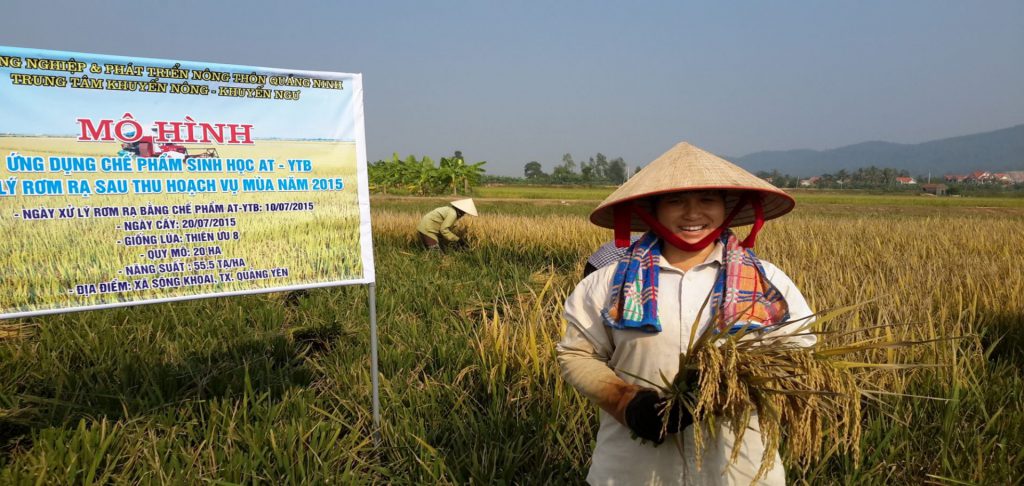 Bà con nông dân phấn khởi trong mùa vụ bội thu khi ứng dụng chế phẩm vi sinh AT – YTB ( Xã Sông Khoai – Thị Xã Quảng Yên)