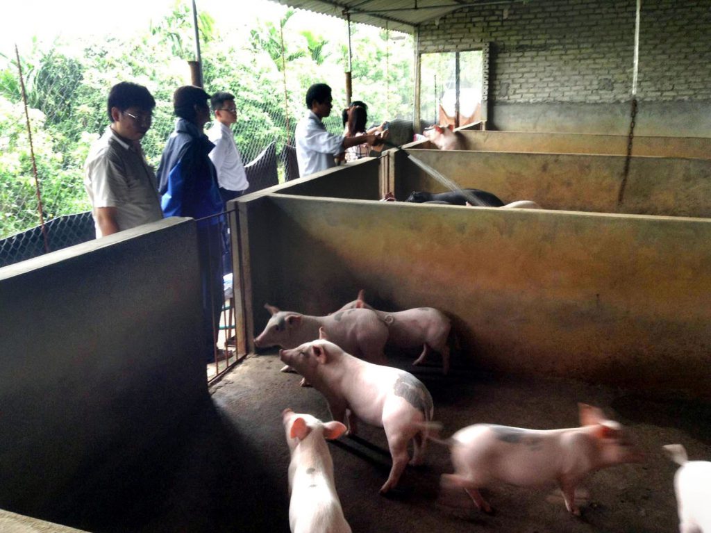 Xử lý môi trường chăn nuôi nhà ông Thắm xã Lai Vu huyện Kim Thành tỉnh Hải Dương 2