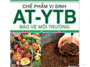 Tạo nguồn phân hữu cơ để trồng rau sạch từ rác gia đình và vi sinh AT-YTB